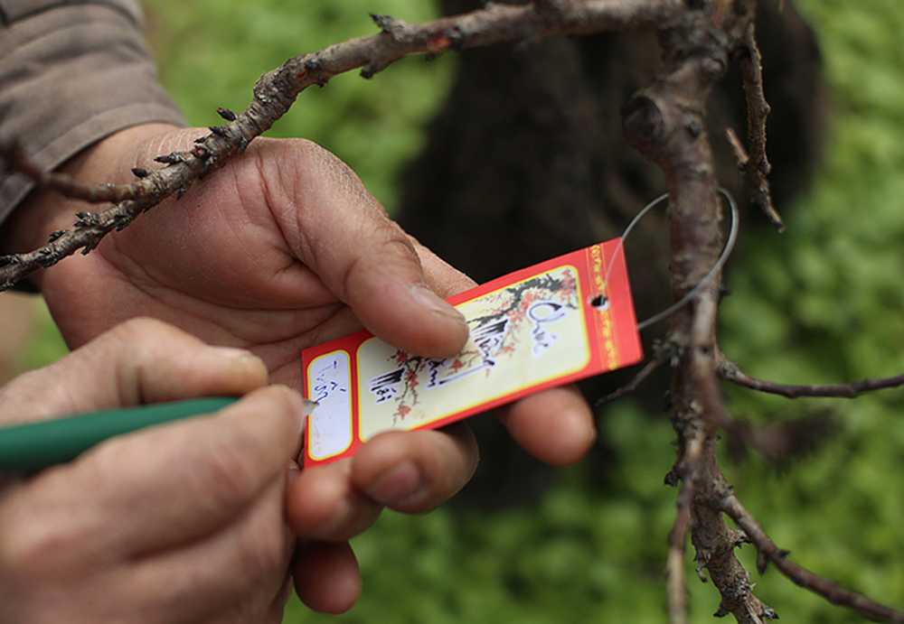 {keywords} {keywords}