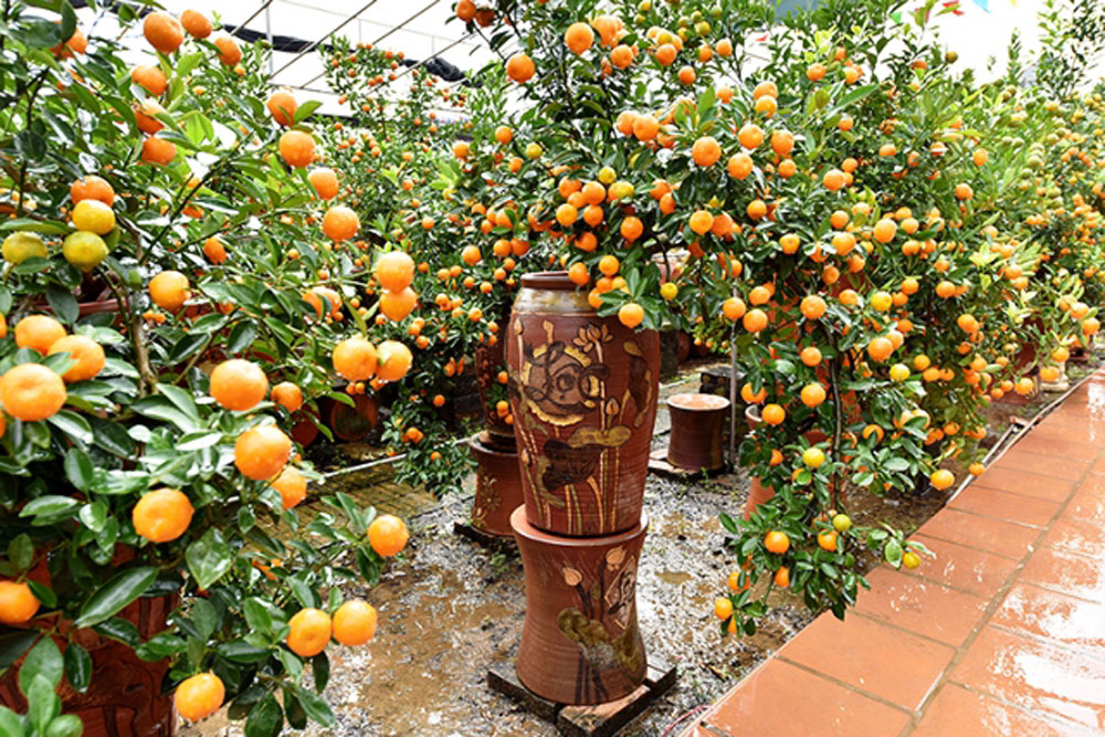 {keywords} {keywords}