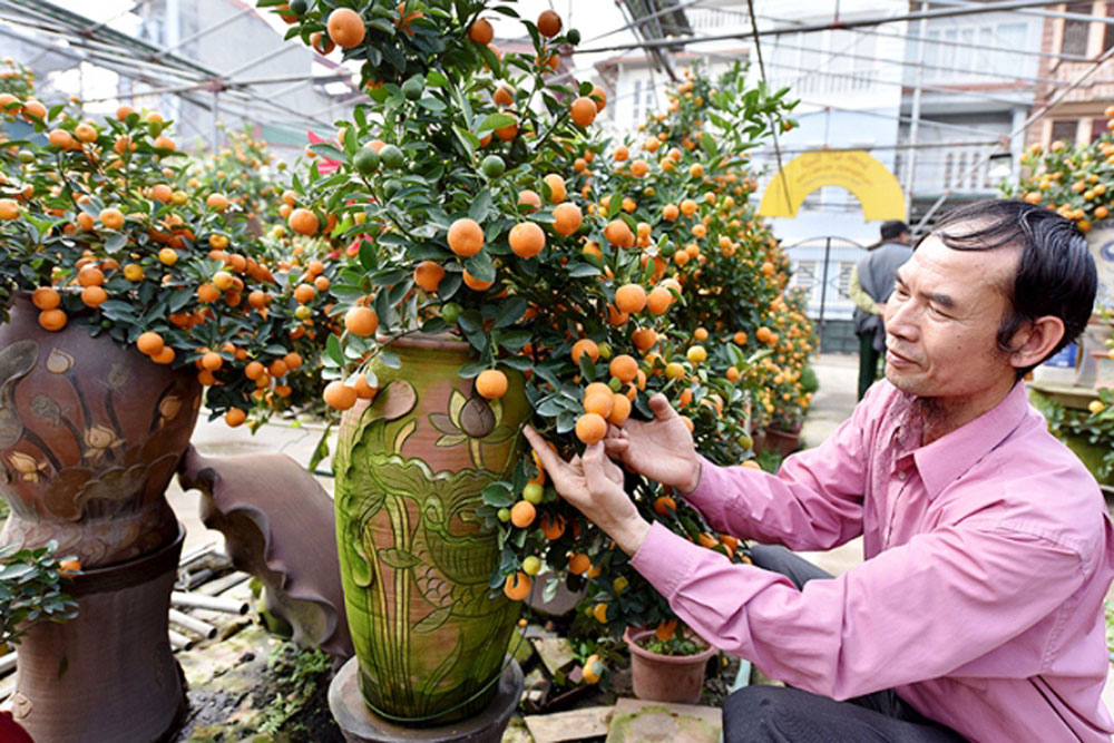 {keywords} {keywords}