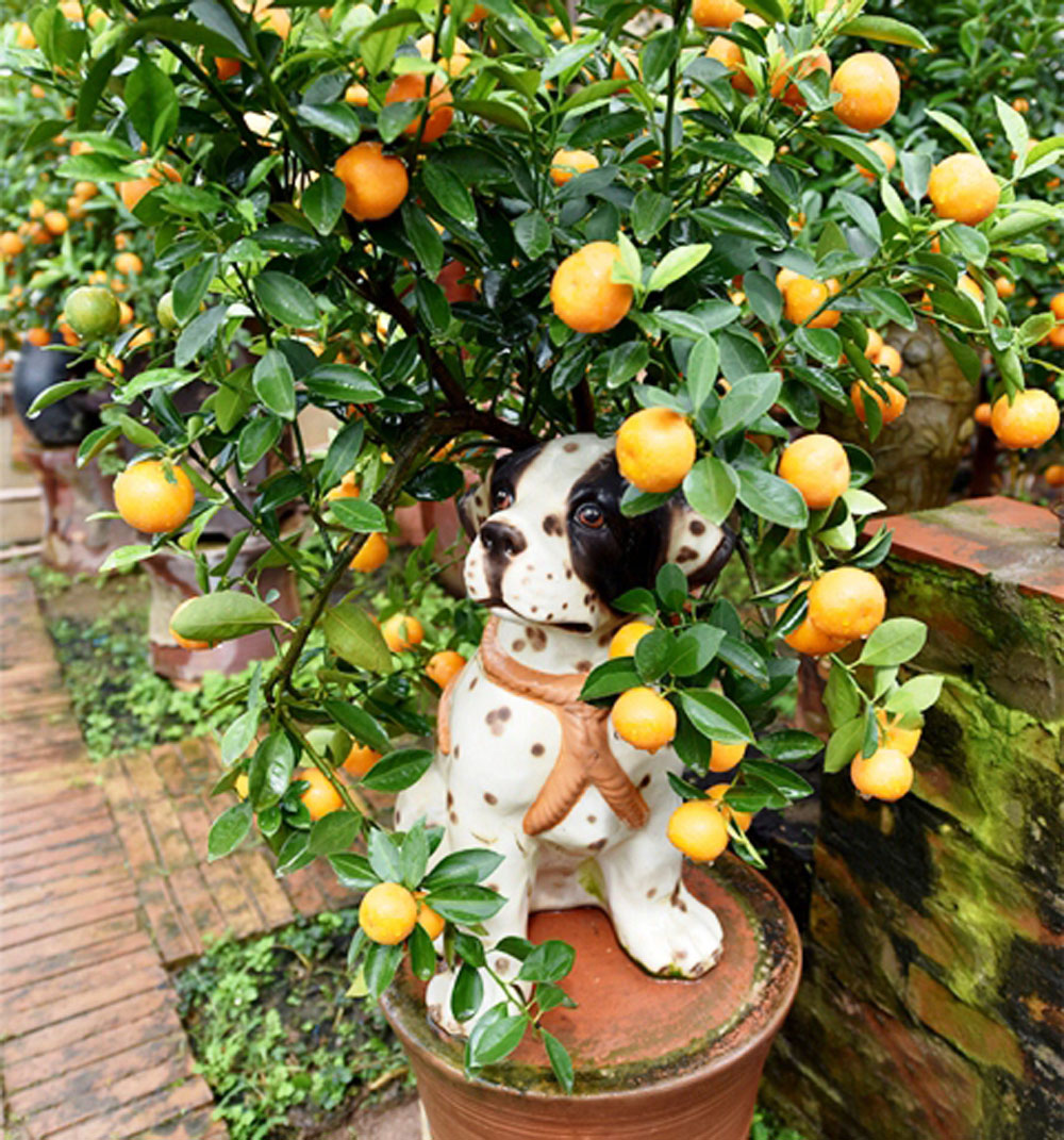 {keywords} {keywords}