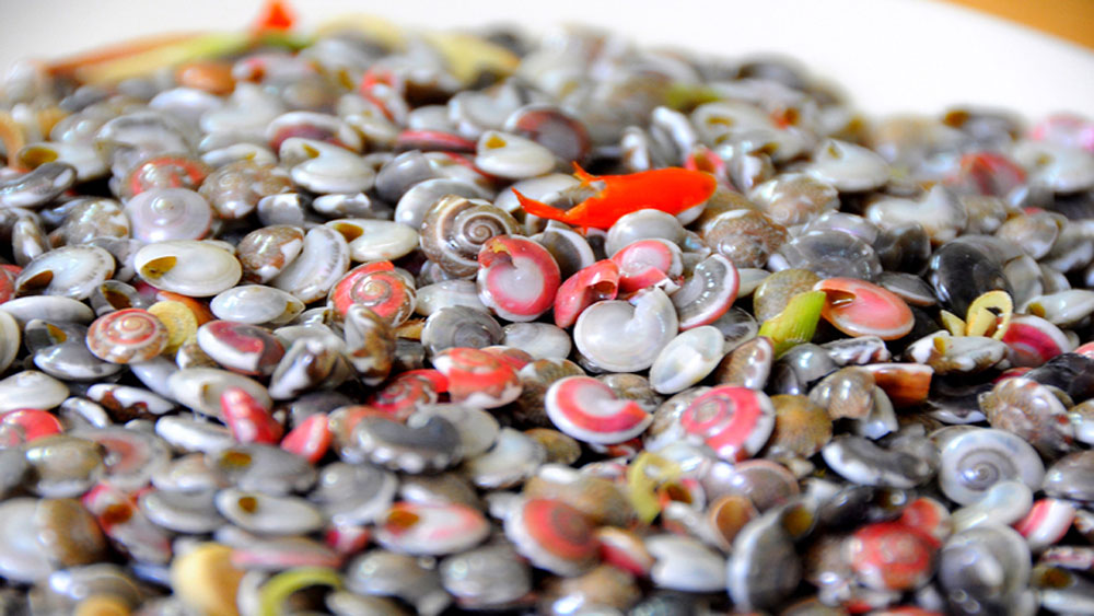 Size doesn’t matter when it comes to eating snails in central Vietnam