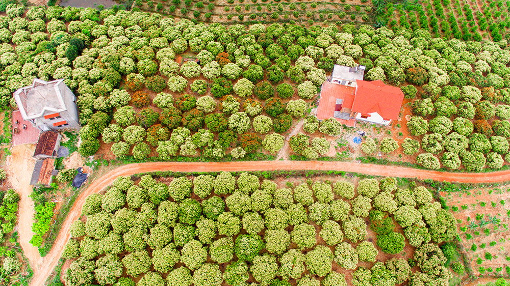 {keywords} {keywords}