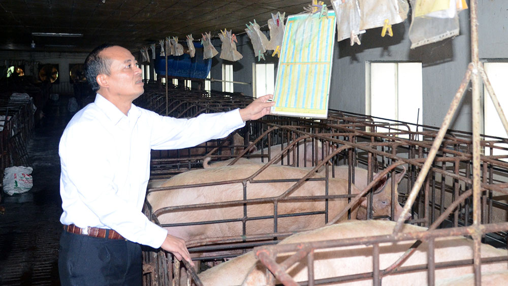 {keywords} {keywords}