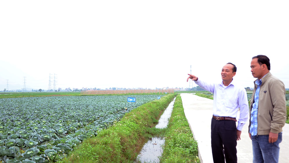 {keywords} {keywords}