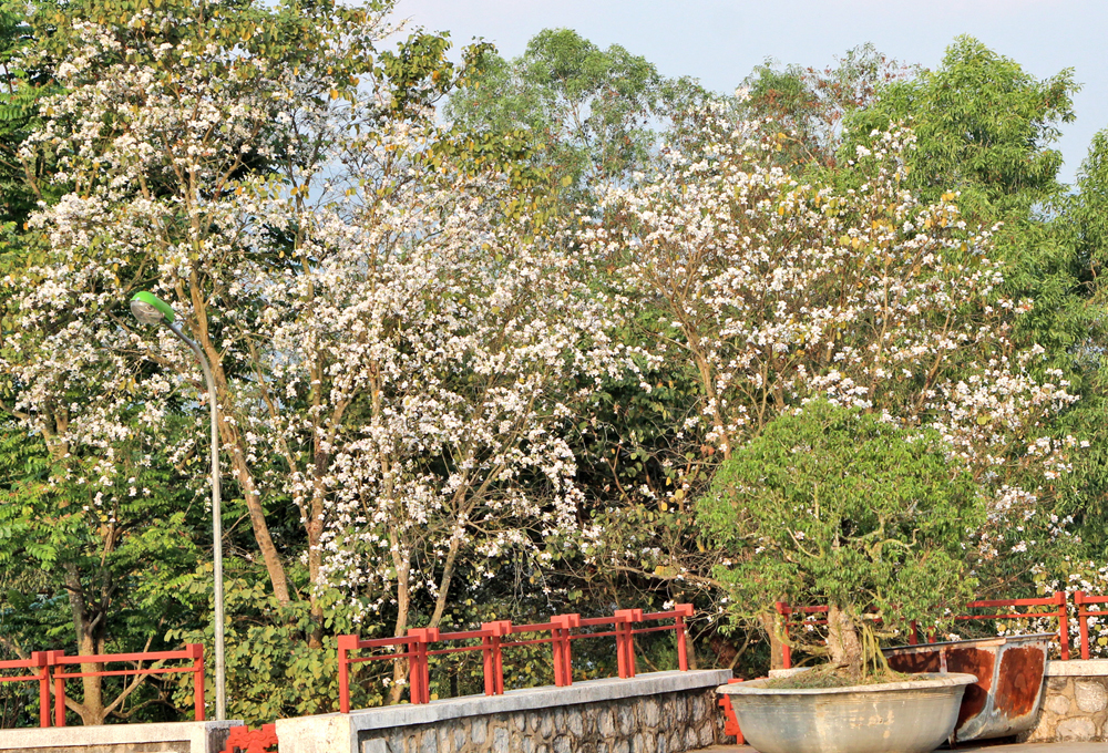 {keywords} {keywords}