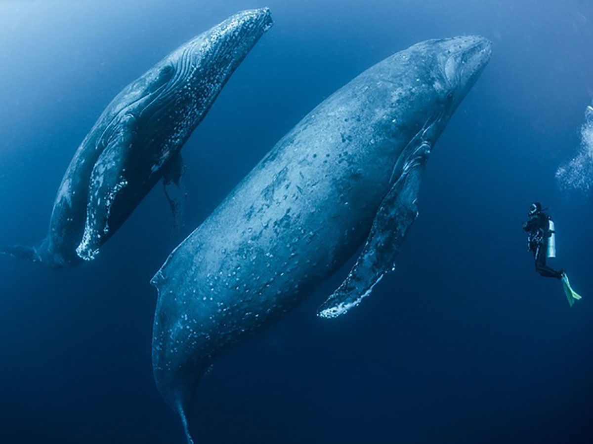 {keywords} {keywords}