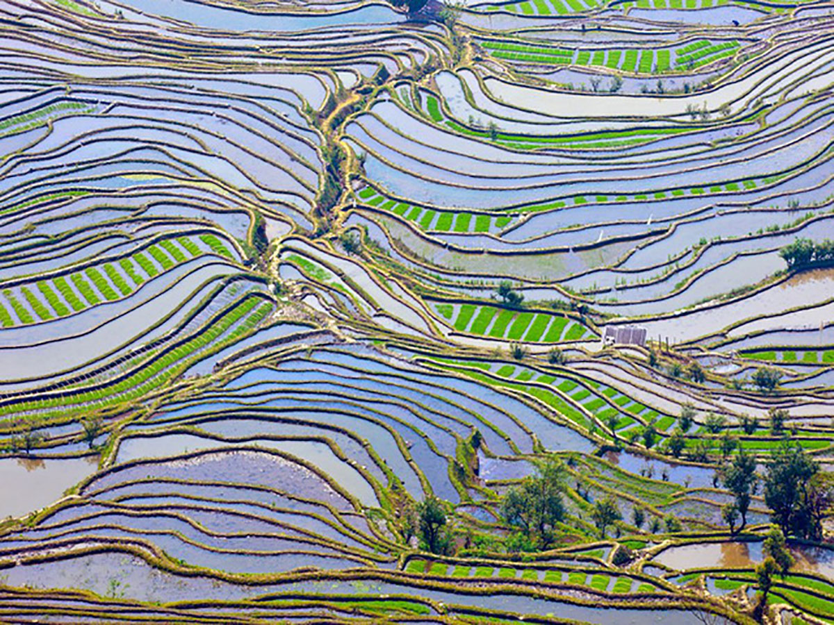 {keywords} {keywords}