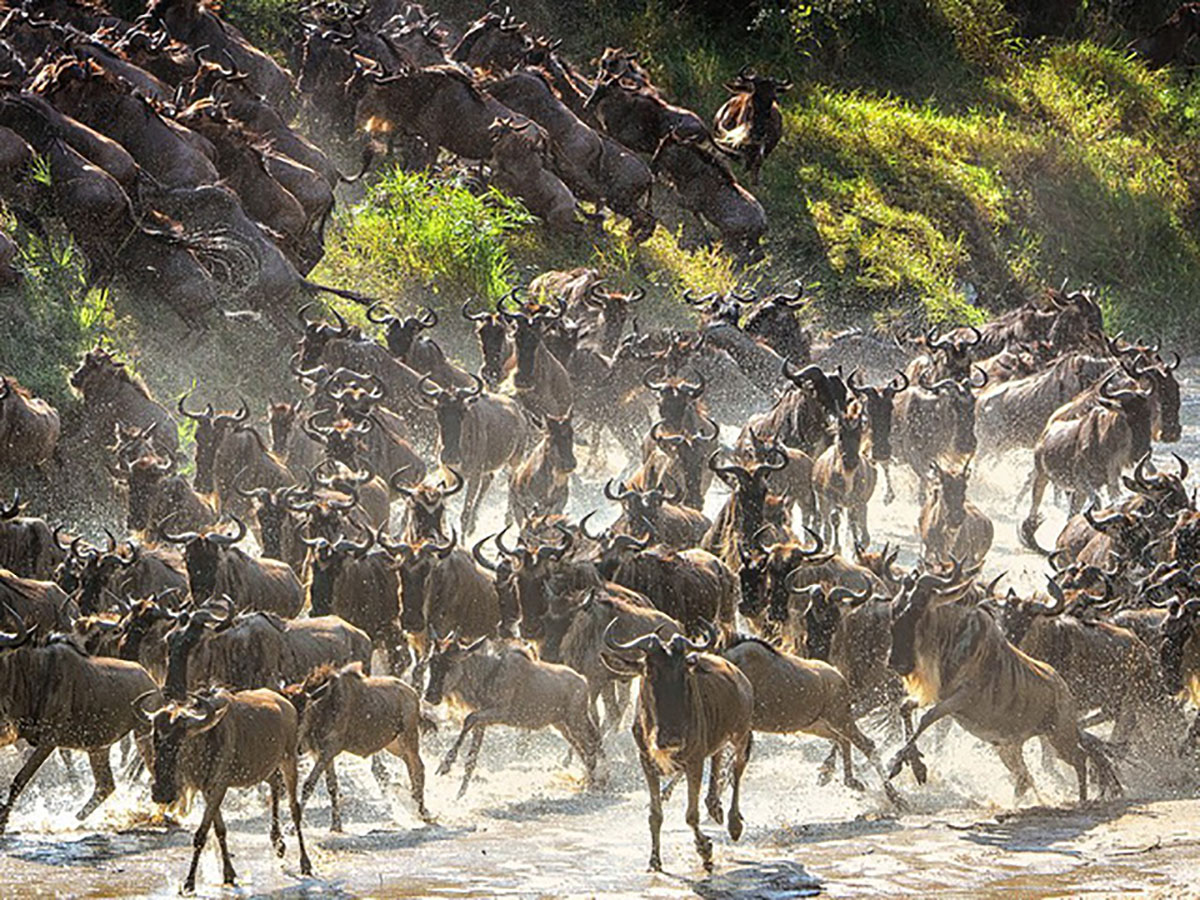 {keywords} {keywords}