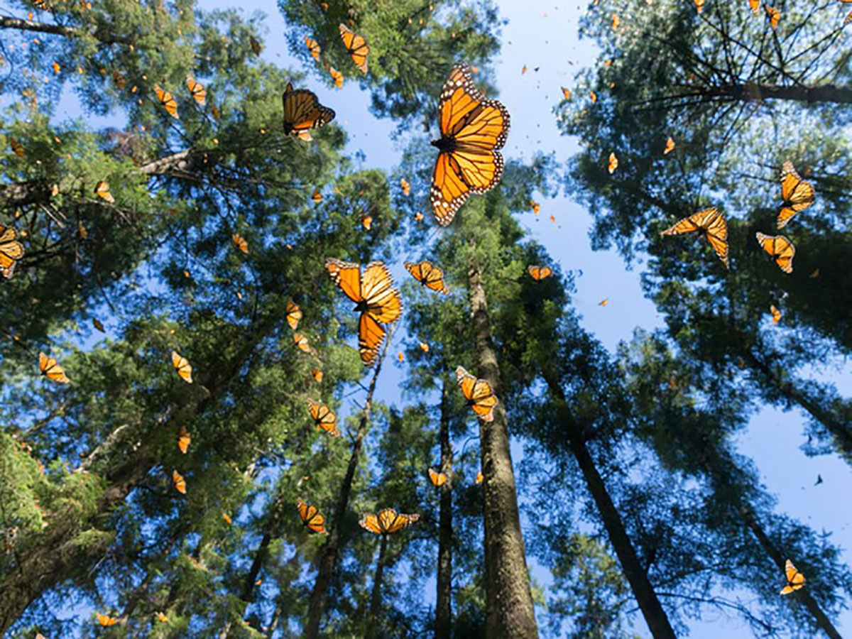 {keywords} {keywords}