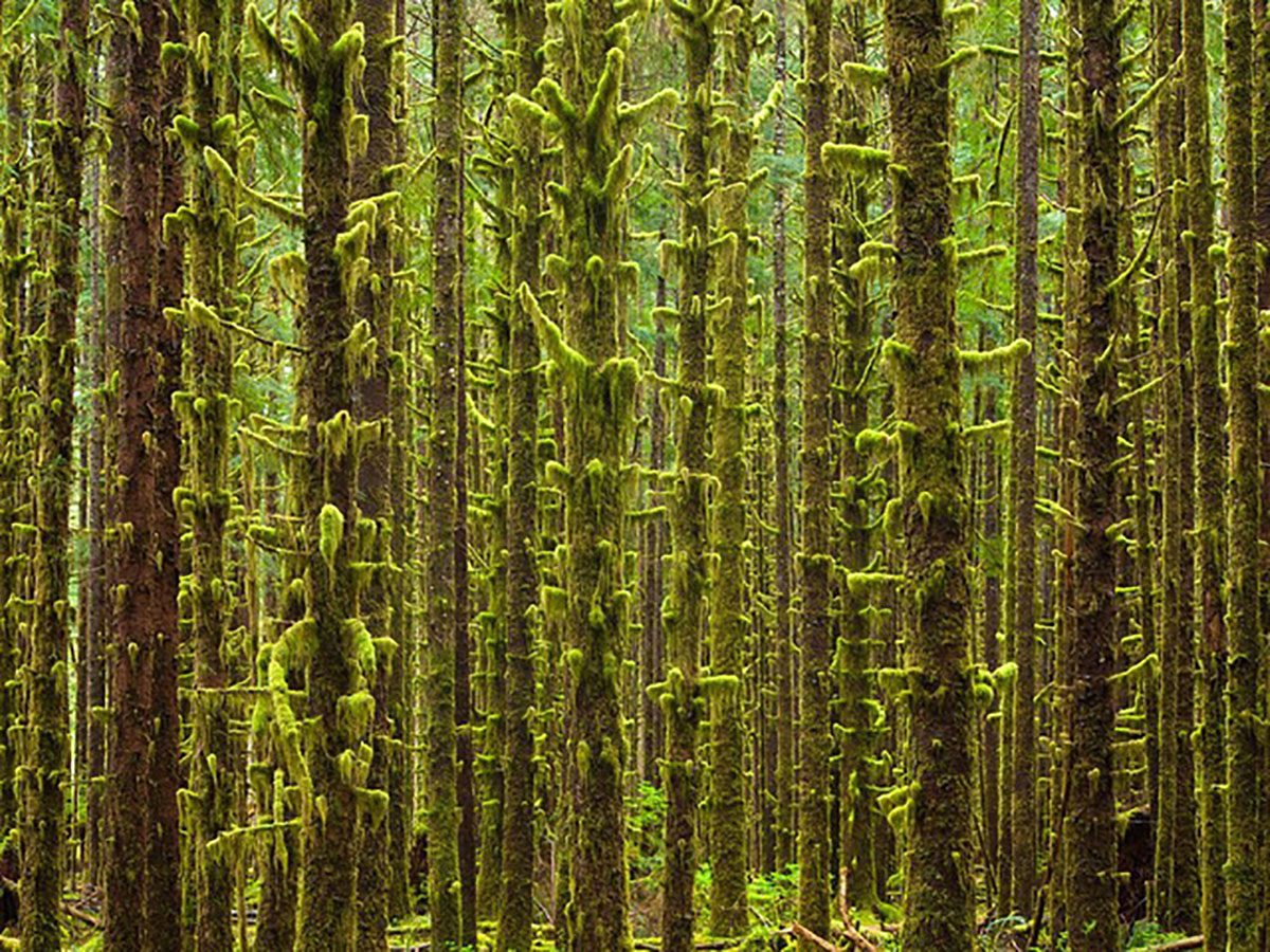 {keywords} {keywords}