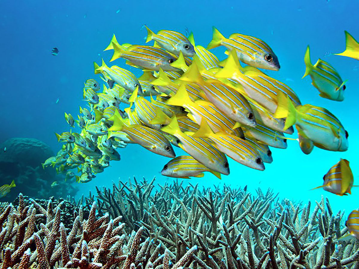 {keywords} {keywords}