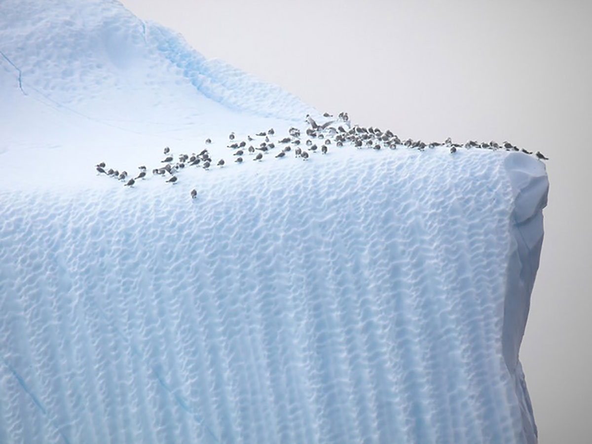 {keywords} {keywords}