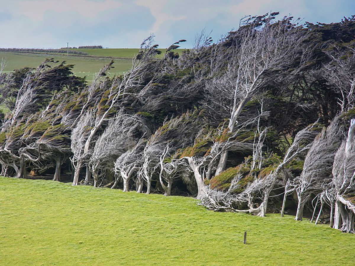 {keywords} {keywords}