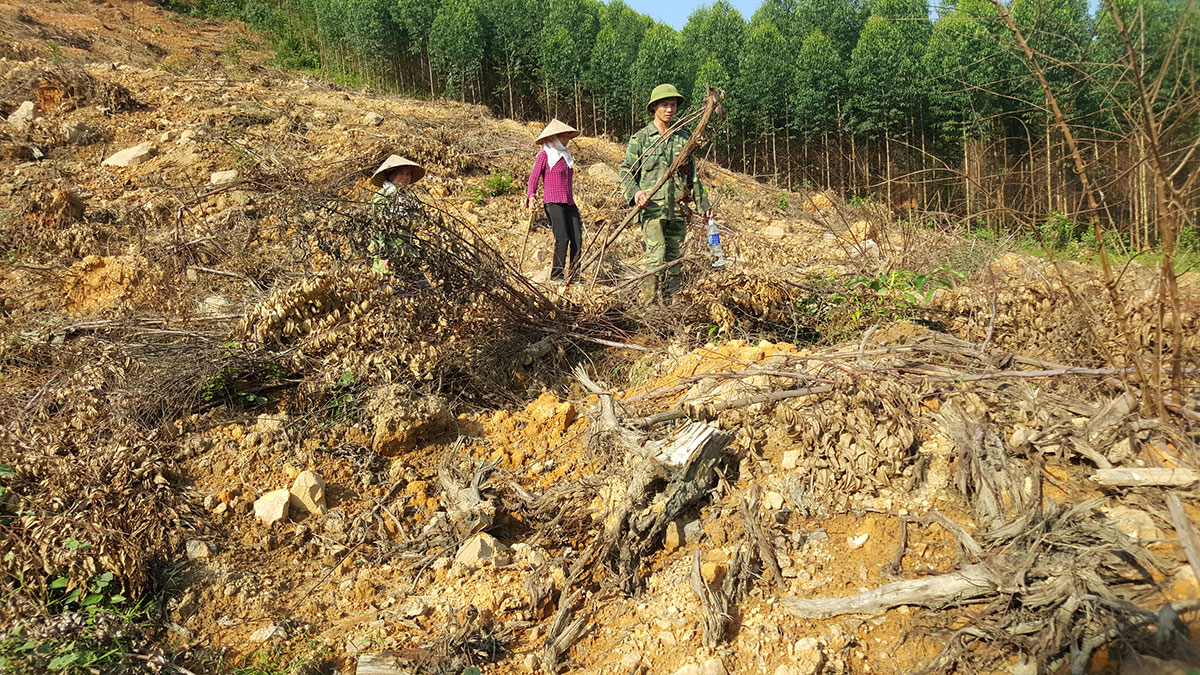 {keywords} {keywords}