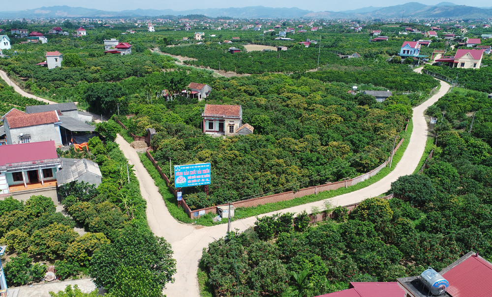 {keywords} {keywords}