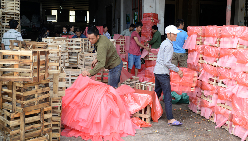 {keywords} {keywords}