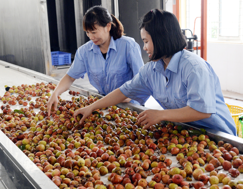 {keywords} {keywords}