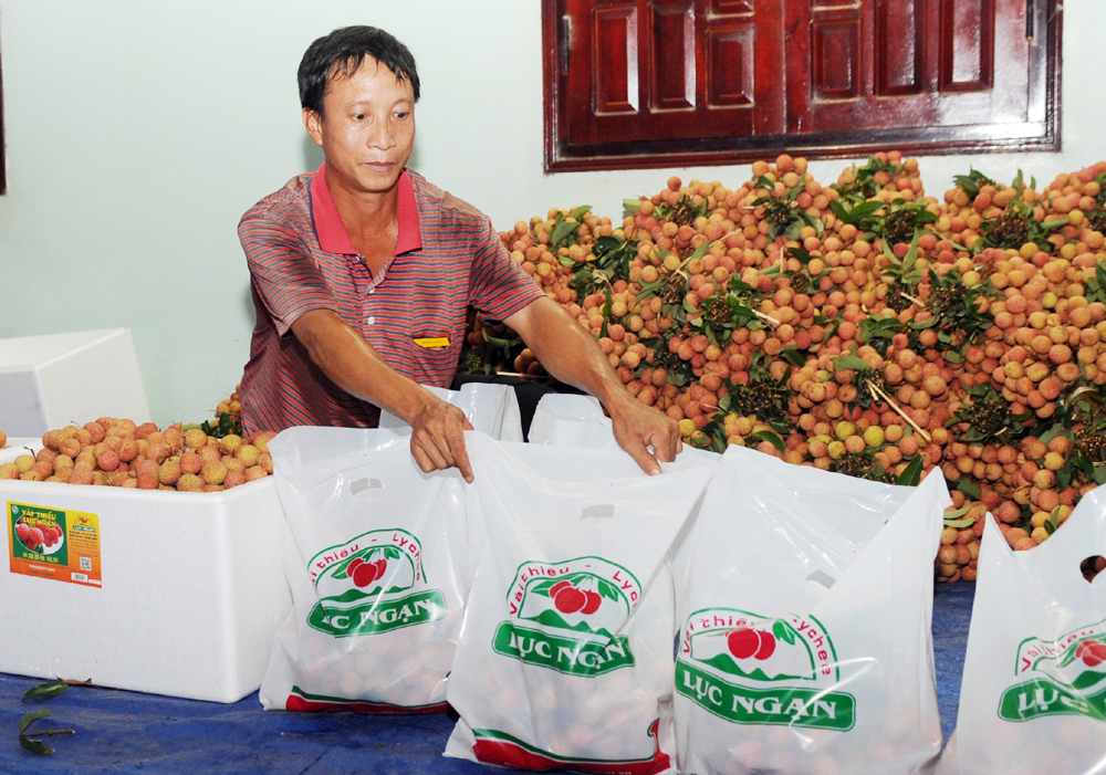 {keywords} {keywords}