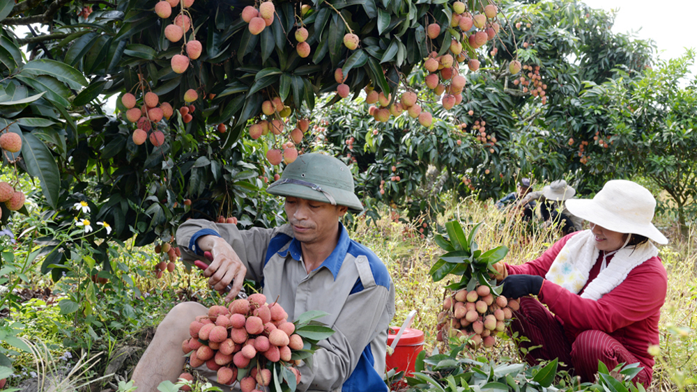 {keywords} {keywords}