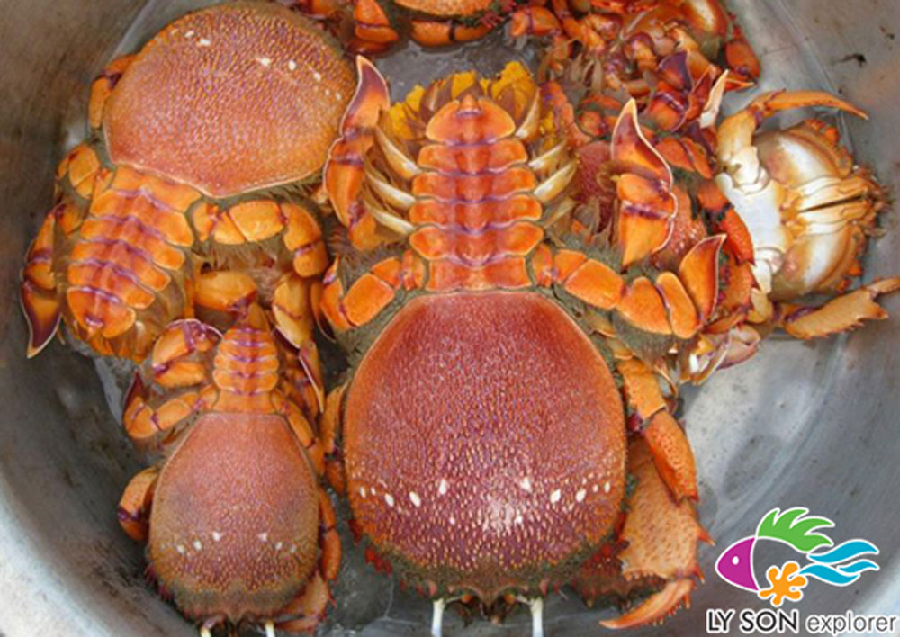 {keywords} {keywords}