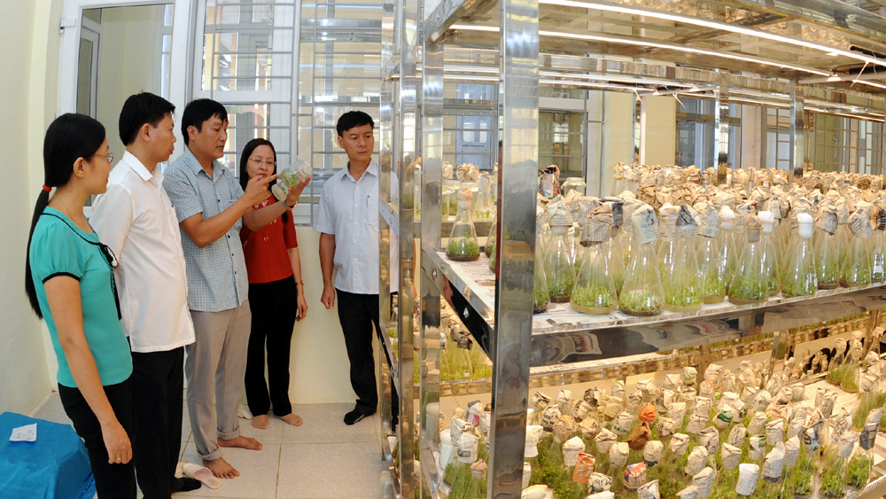 {keywords} {keywords}