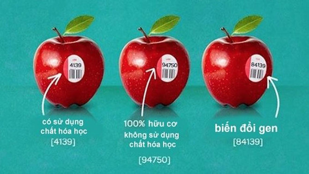 Nên chọn trái cây với mã code bắt đầu bằng số mấy?