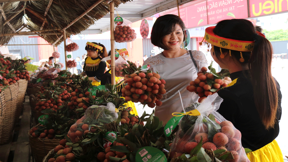 {keywords} {keywords}