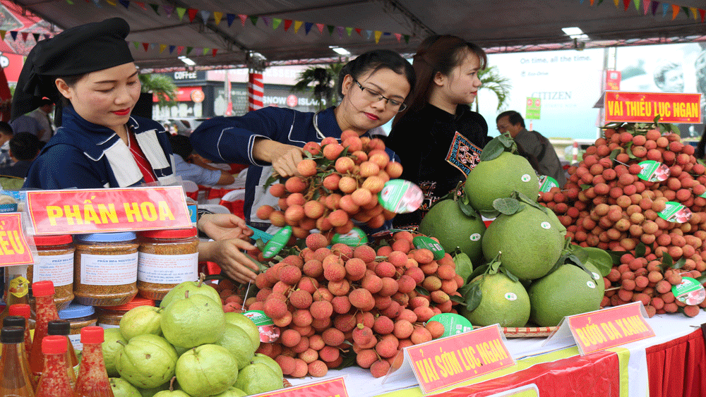 {keywords} {keywords}