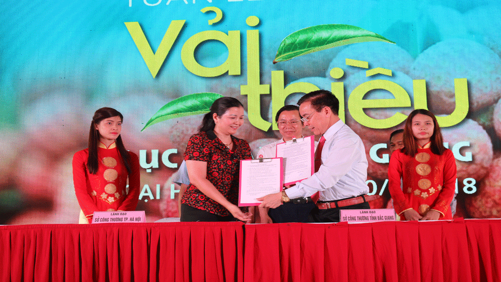 {keywords} {keywords}