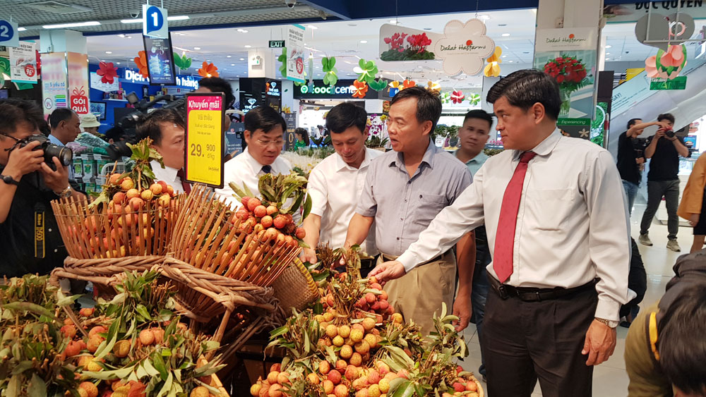 {keywords} {keywords}