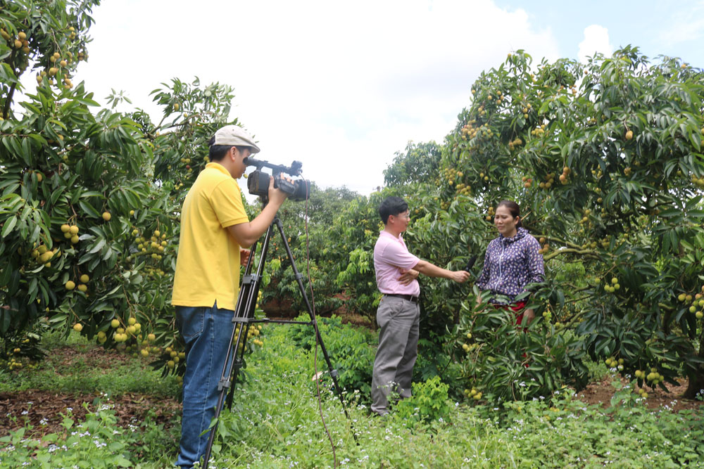 {keywords} {keywords}