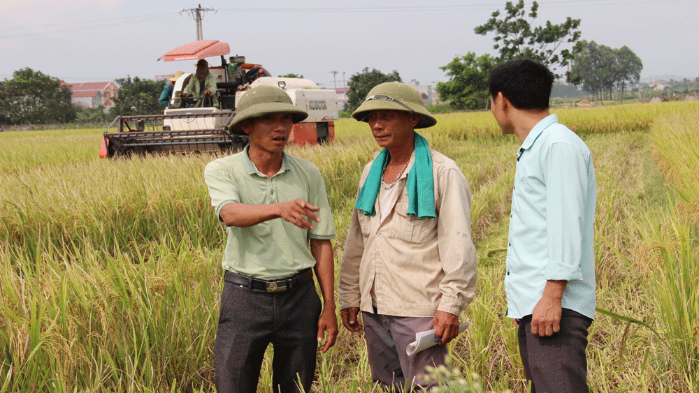 {keywords} {keywords}