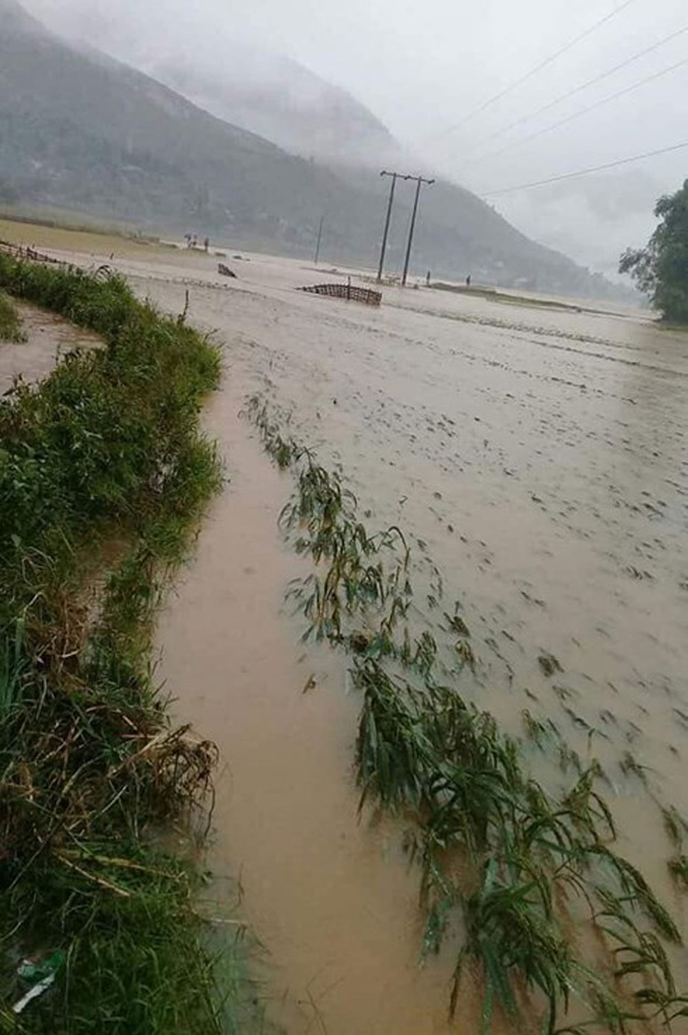 {keywords} {keywords}