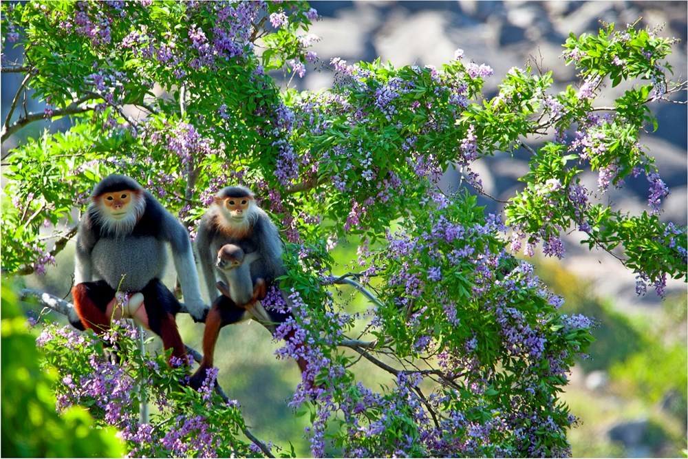 {keywords} {keywords}