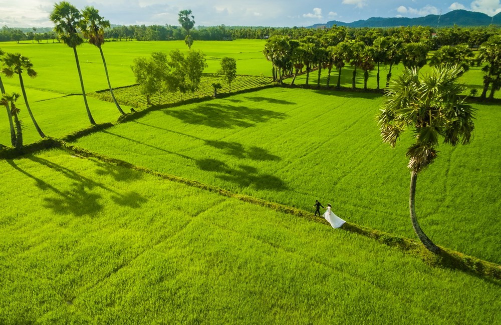 {keywords} {keywords}