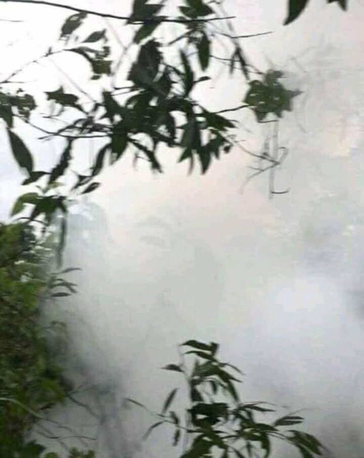 {keywords} {keywords}