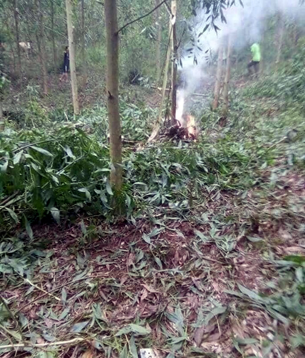 {keywords} {keywords}