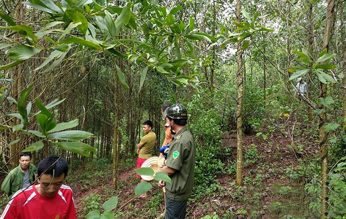 {keywords} {keywords}