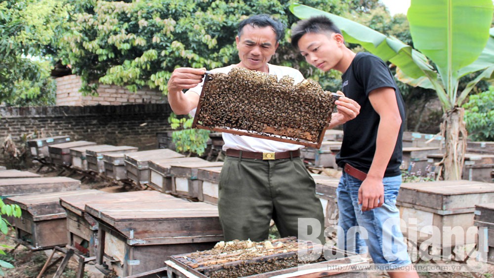 {keywords} {keywords}