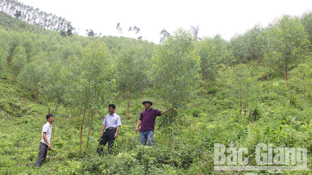 {keywords} {keywords}