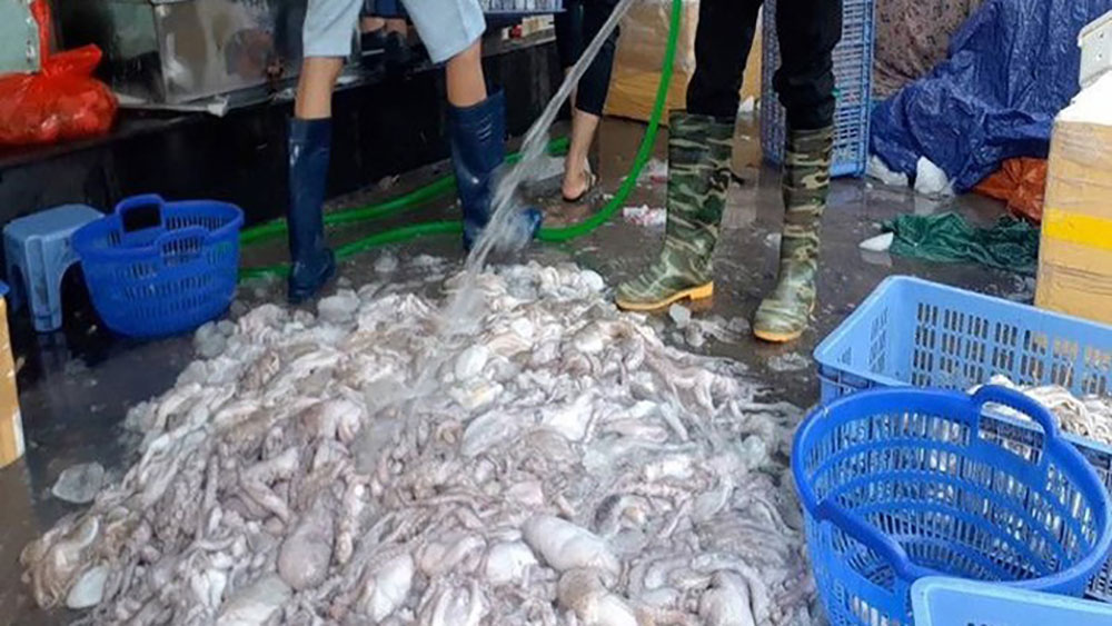 Phân biệt hải sản 'tắm' hóa chất