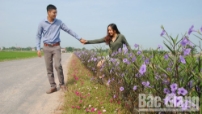 Việt Yên: Nối dài những đường hoa