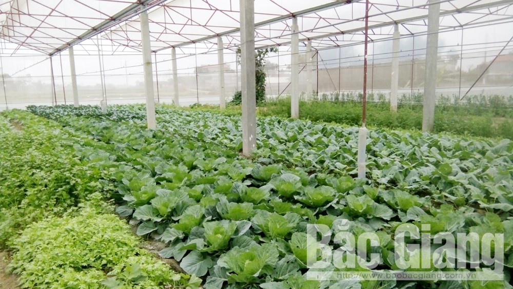 {keywords} {keywords}