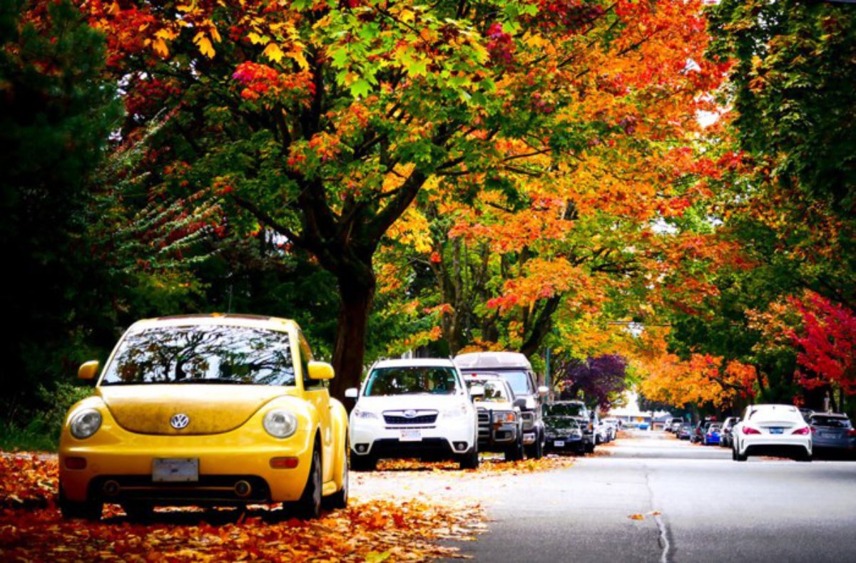 {keywords} {keywords}