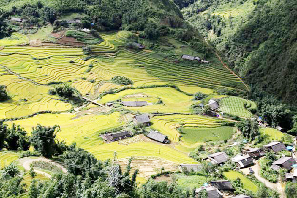 {keywords} {keywords}