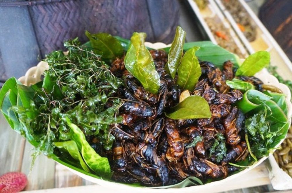 {keywords} {keywords}