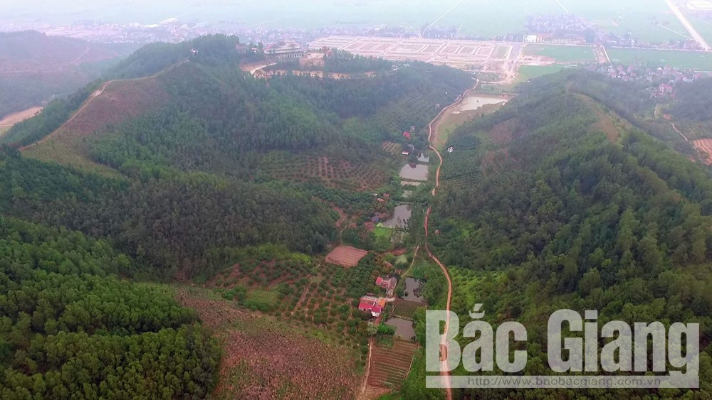 Khe Hang Dầu dưới cánh núi Phượng