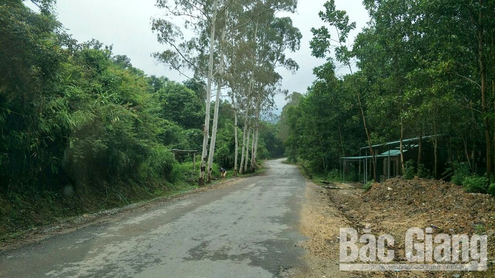 {keywords} {keywords}