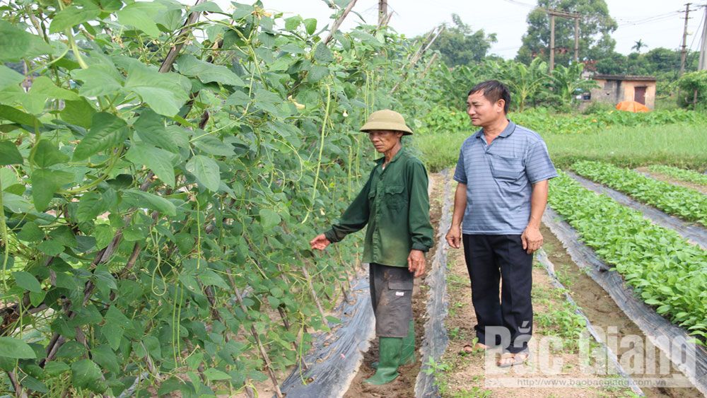 {keywords} {keywords}