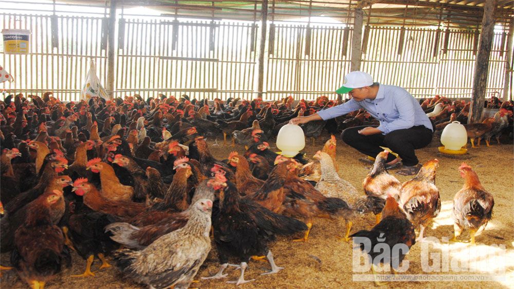 {keywords} {keywords}